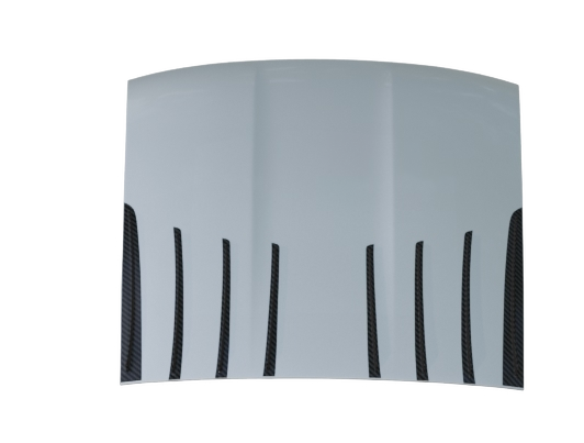 Roof2_472